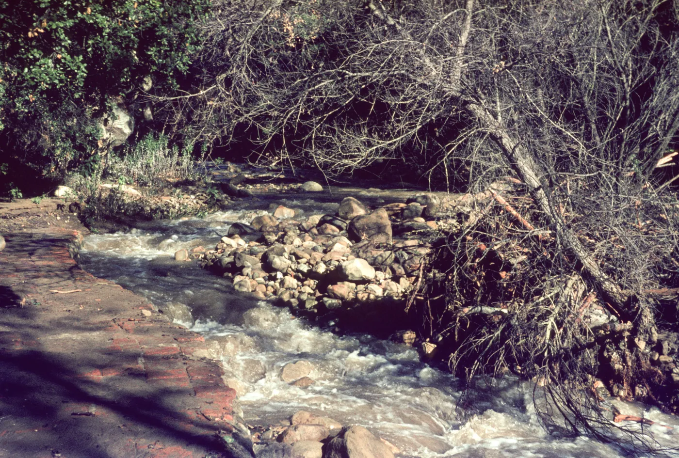 A quickly flowing stream flows between a rocky shore and a weather red brick wall. 