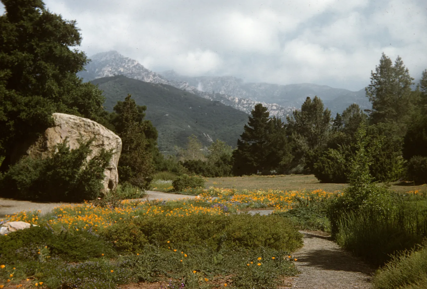 SBBG Meadow and mountain view, Blaksley Boulder