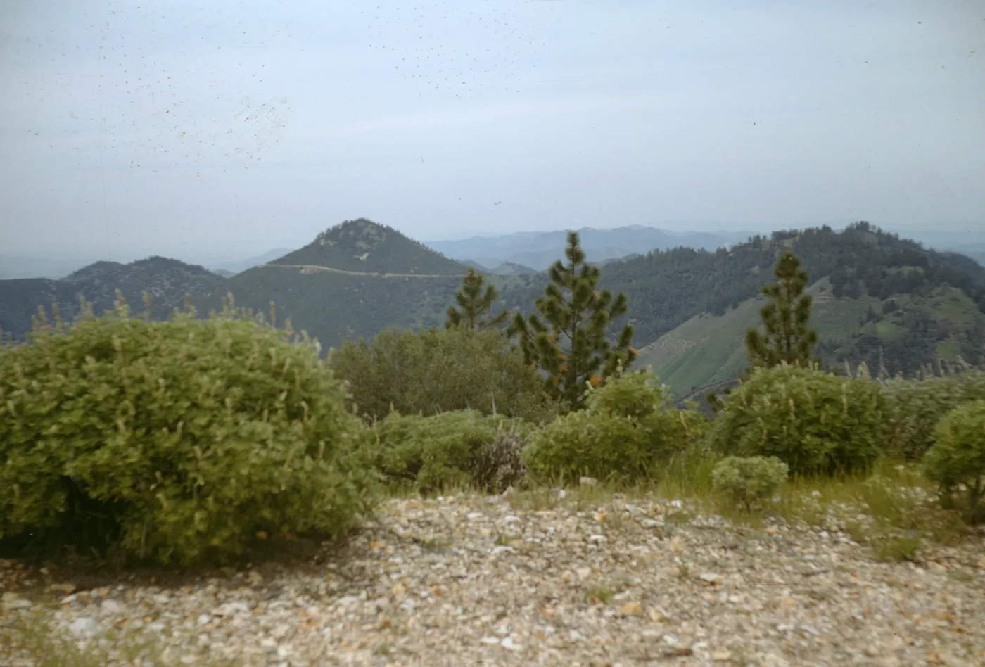 Zaca Peak from Figueroa Mountain