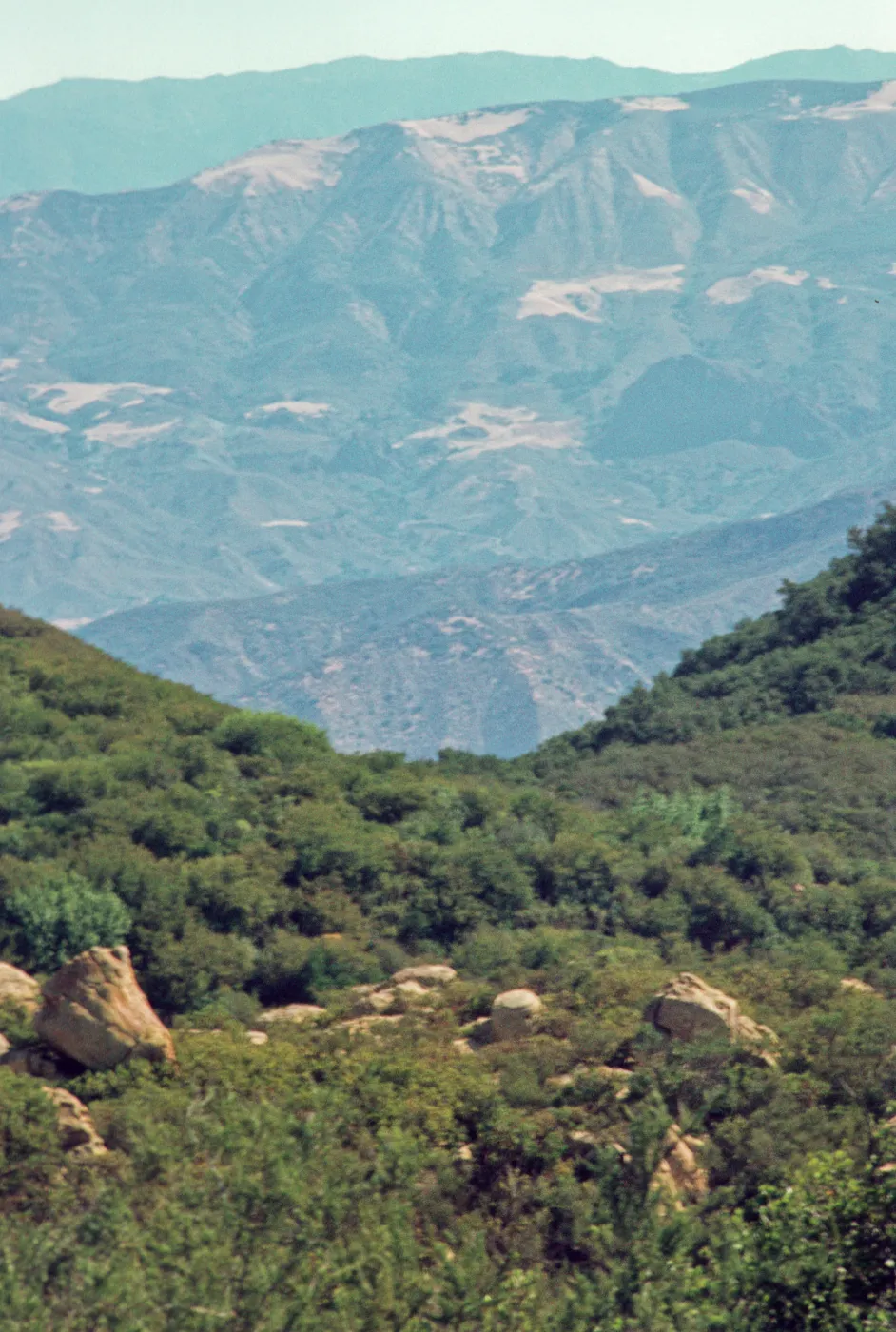 San Rafael Mountains from West Camino Cielo