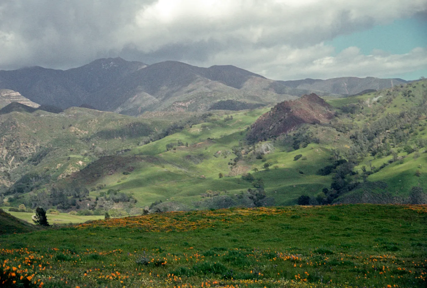 green hills, wildflowers, Happy Canyon view