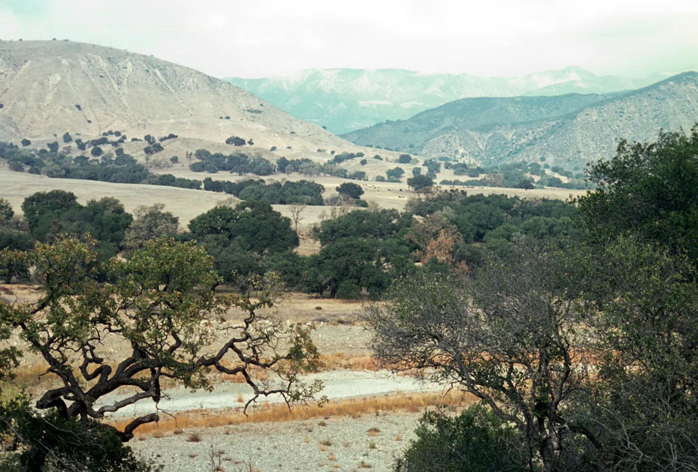 Santa Ynez River