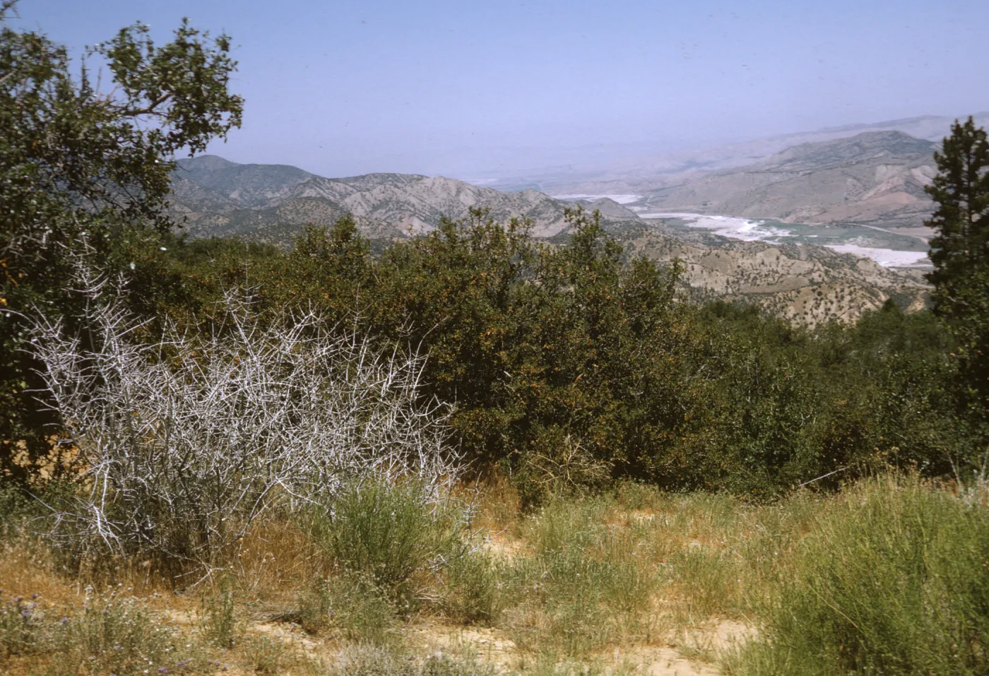 Cuyama River valley from Reyes Peak
