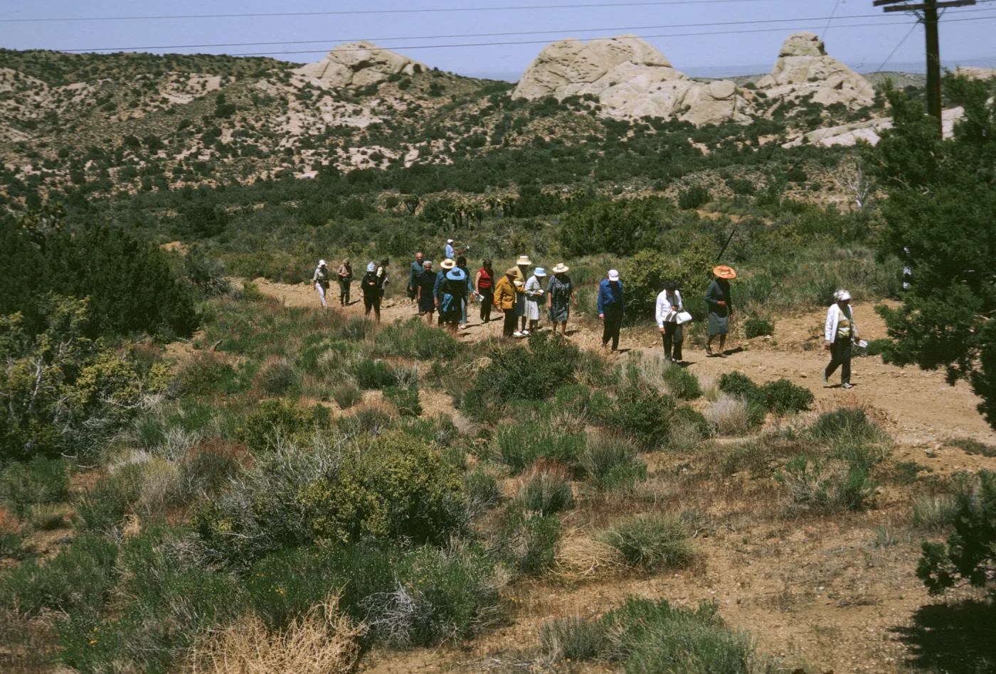 SBBG botanic foray, near Devil's Punch Bowl