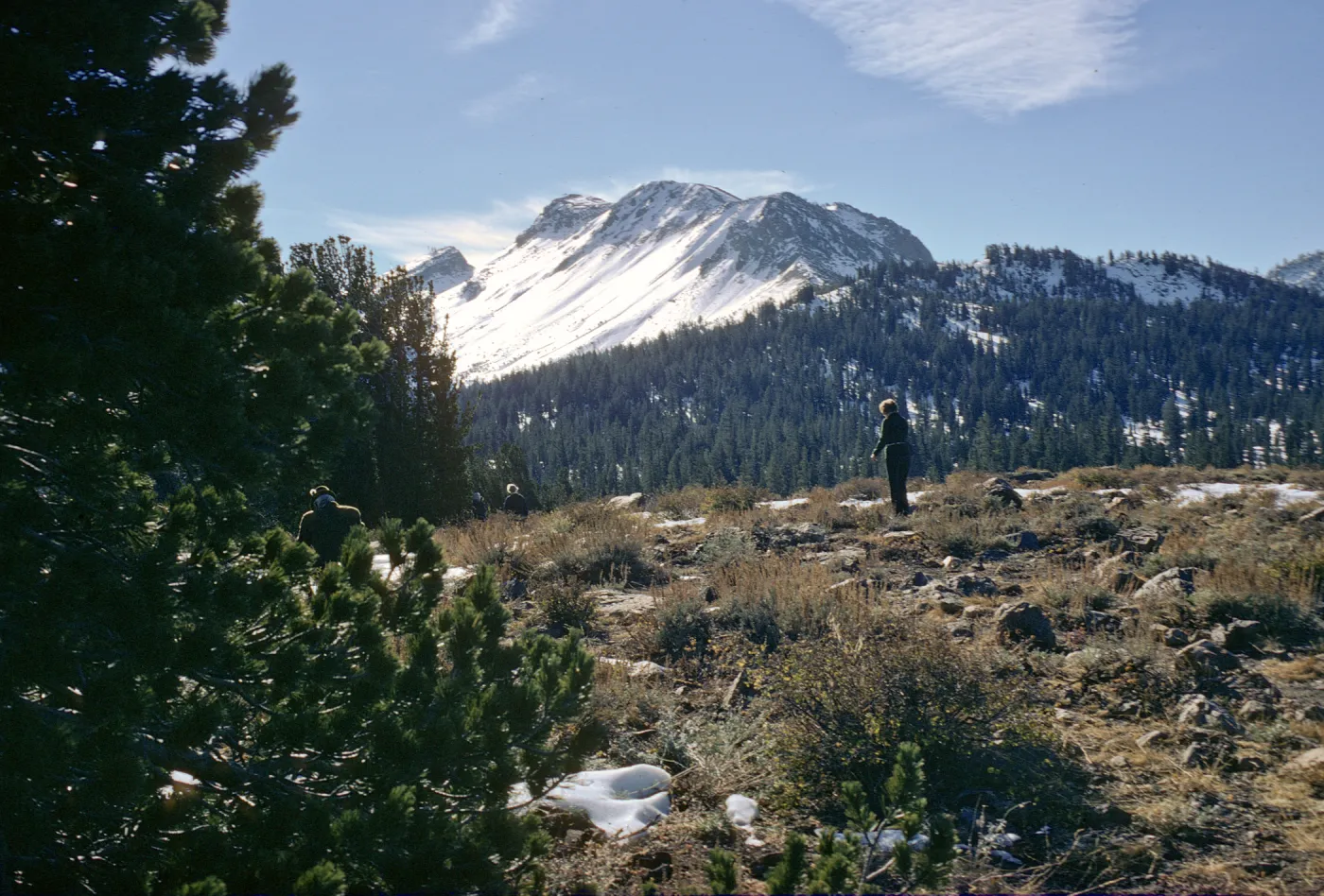 Mammoth Mountain snow field
