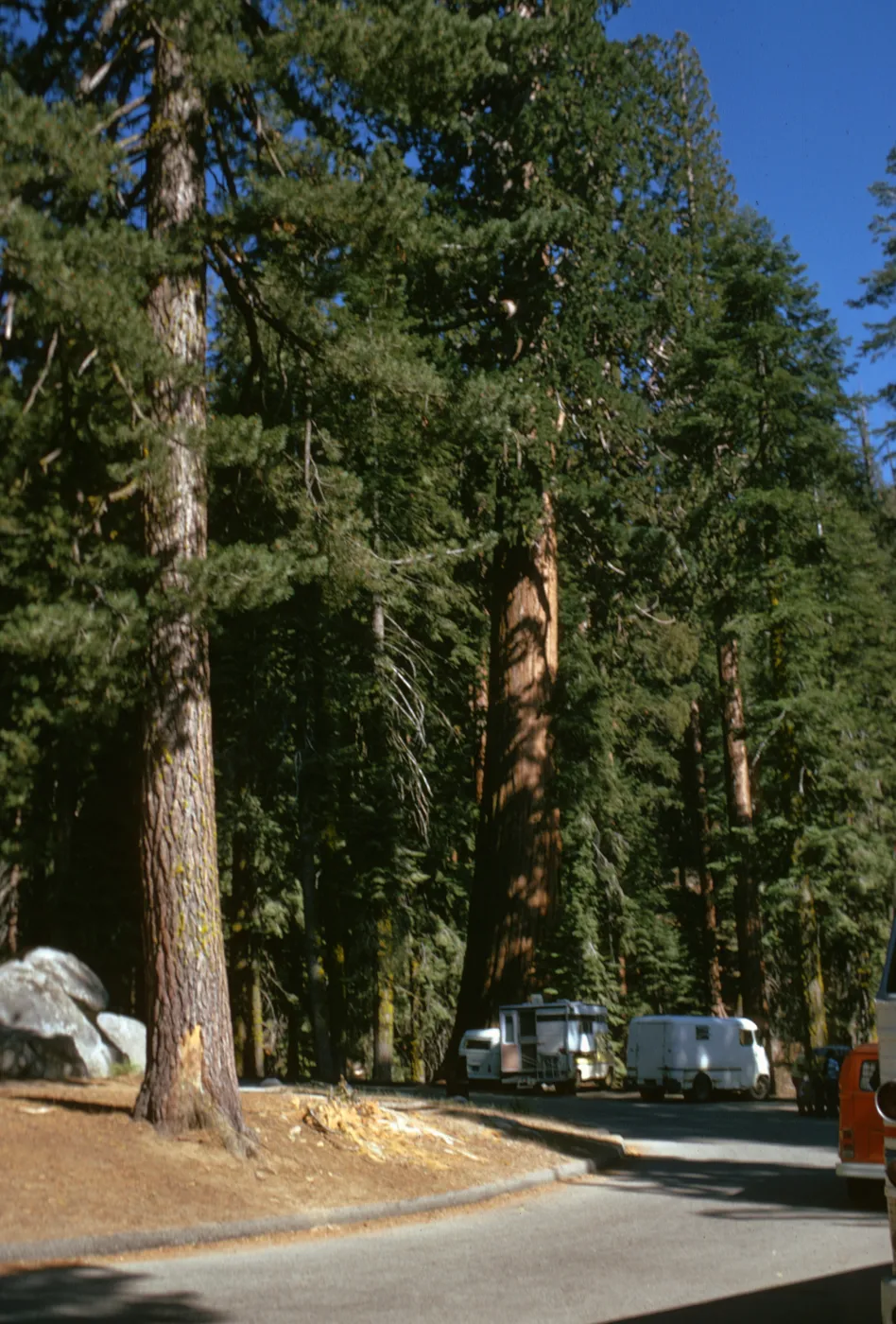 Sequoia National Park, near Grant Grove