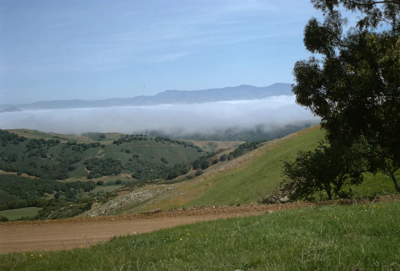 See & Perfumo Canyon Road, looking north