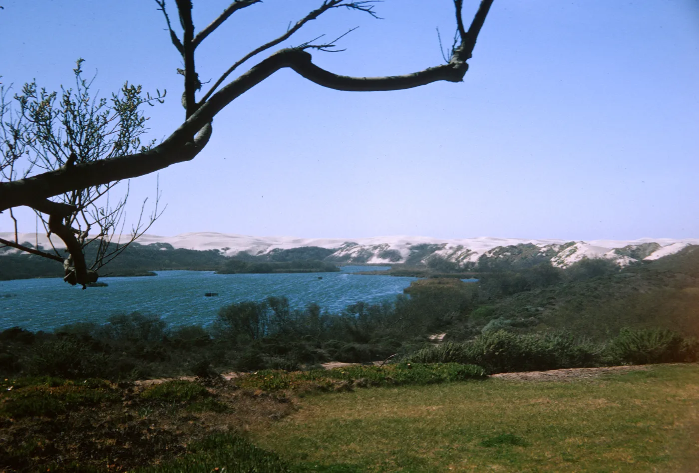 Dune Lakes