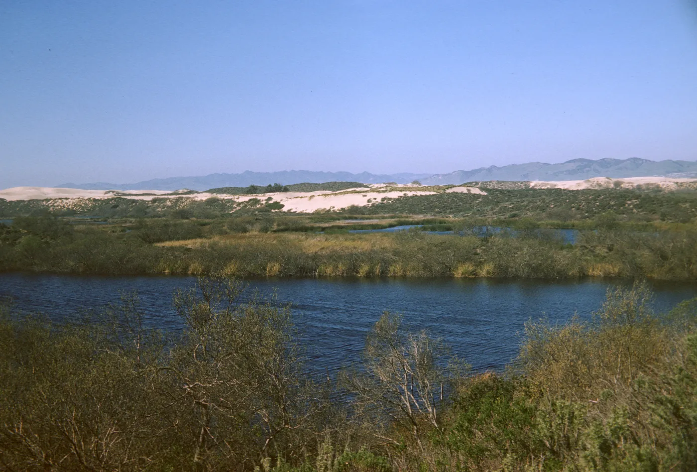 Dune Lakes