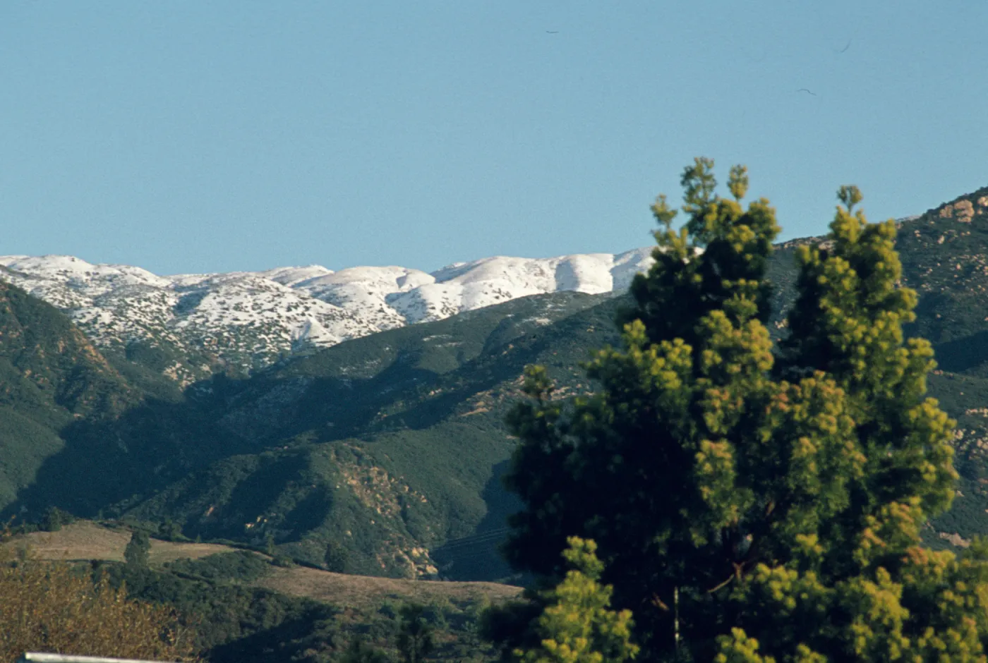 snow on the Santa Ynez Mountains, from Rancho Santa Barbara