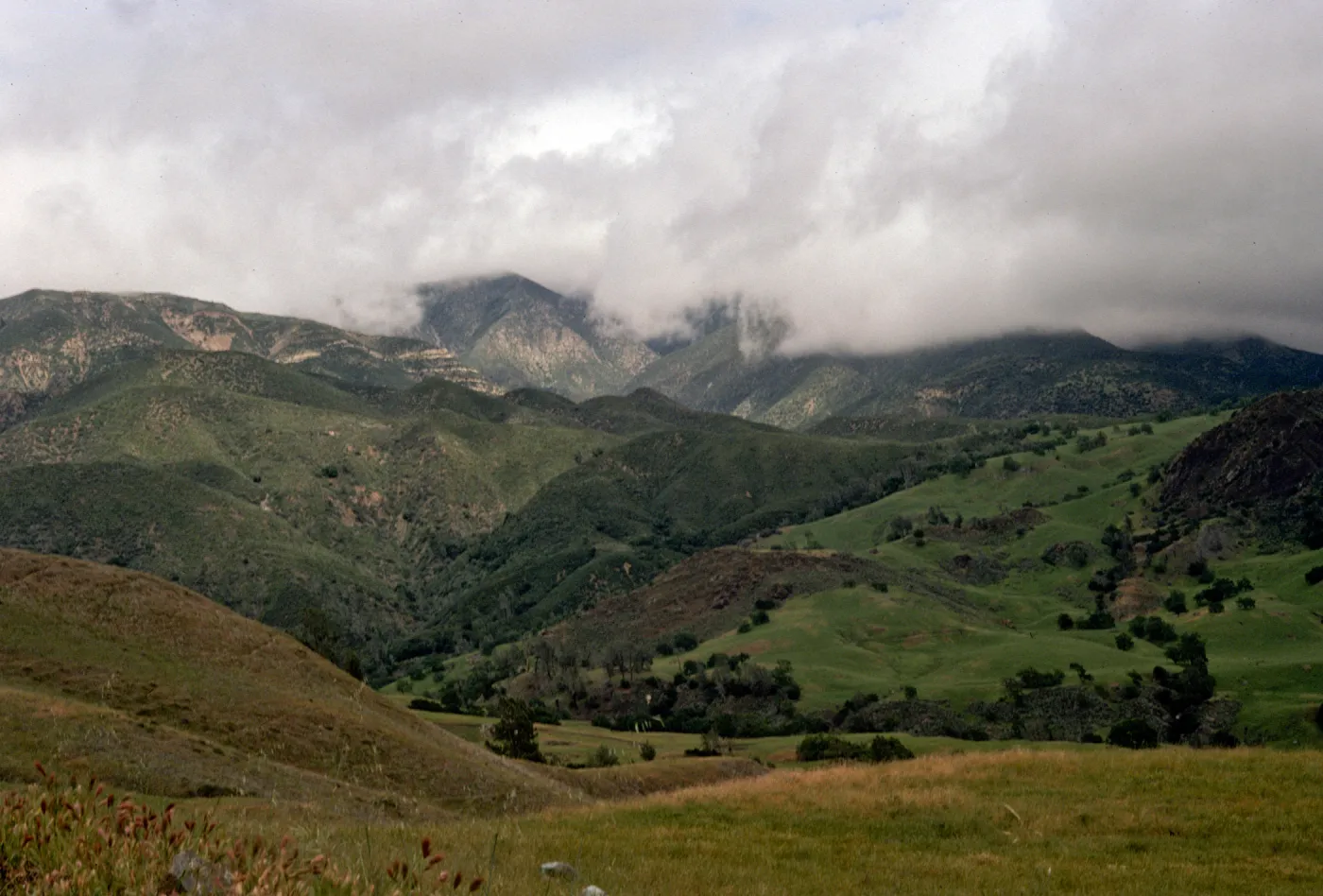 cloudy vista, Happy Canyon Road