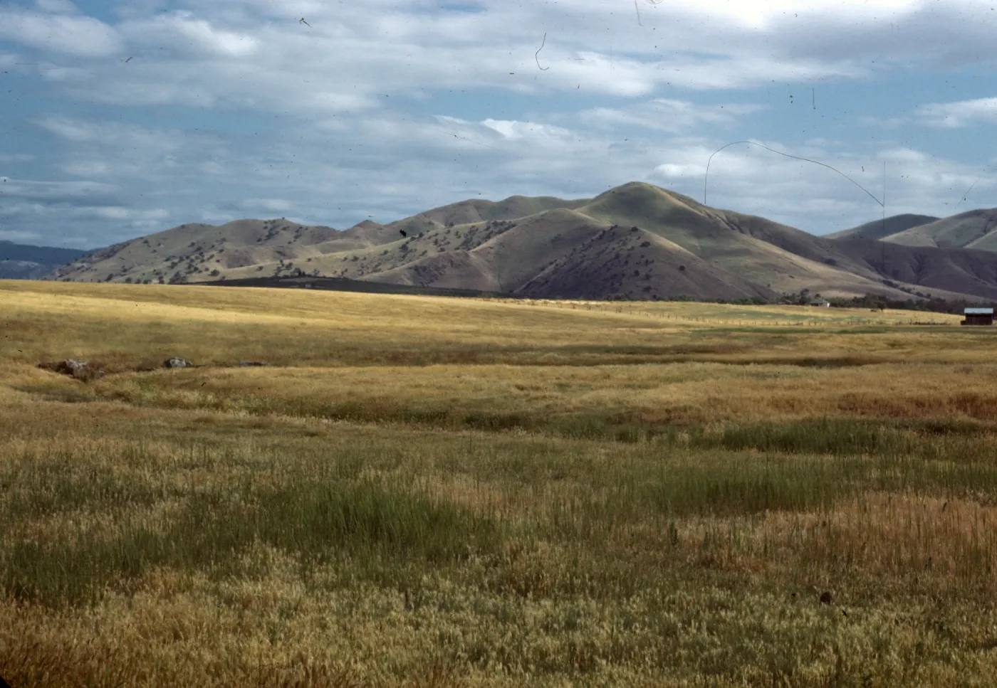 foothills near Springville