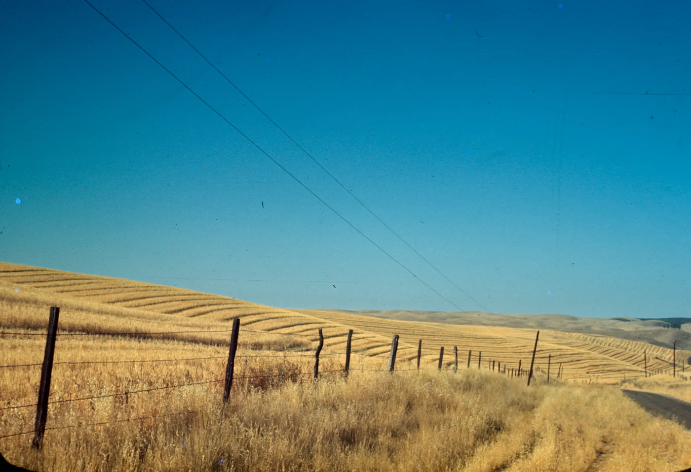 oat field near Creston, golden field, agricultural grassland