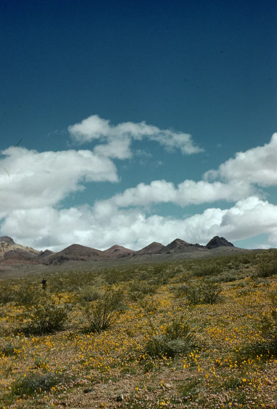 Jubilee Pass, Death Valley National Park