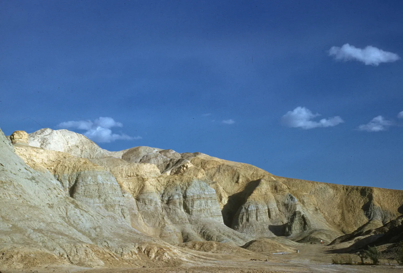 back of Texas Spring, Death Valley