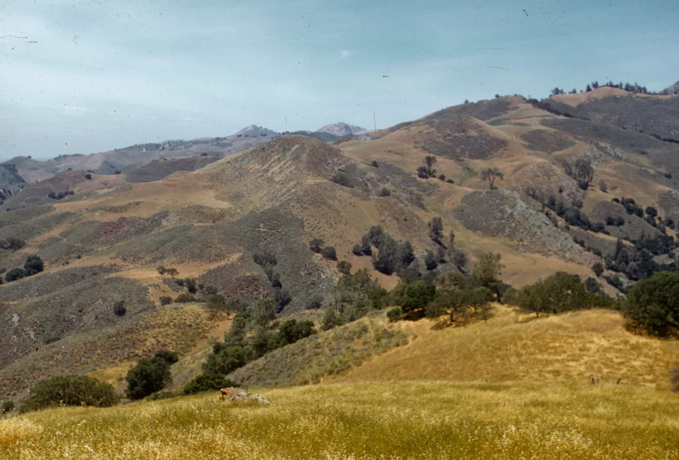 near Zaca Peak, on Figueroa Road