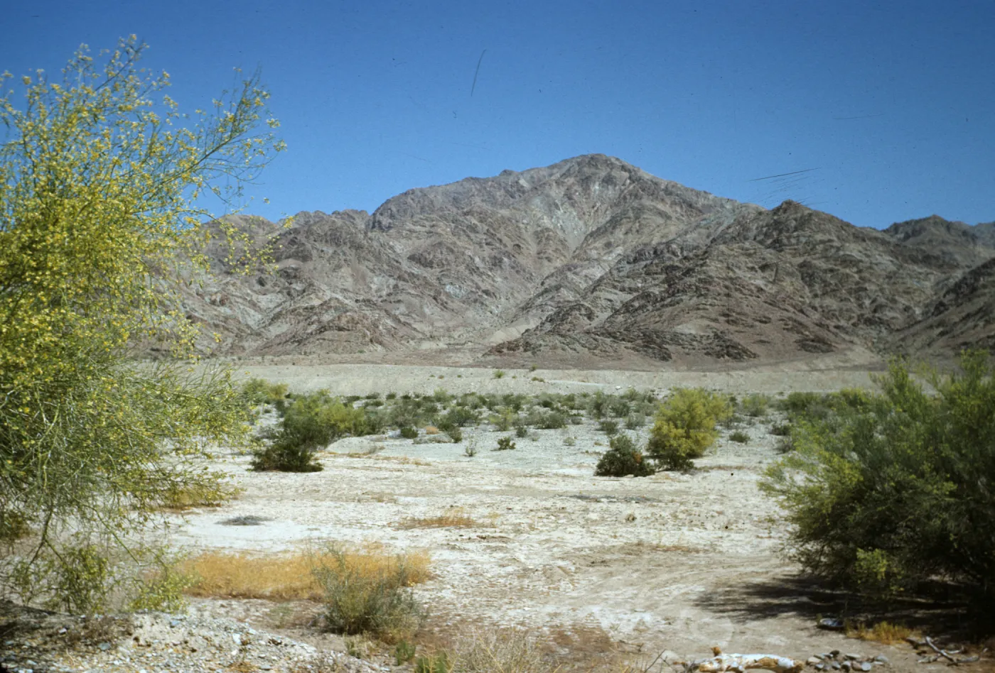 mountains and Palo Verdes near Hot Spring, south of Mecca