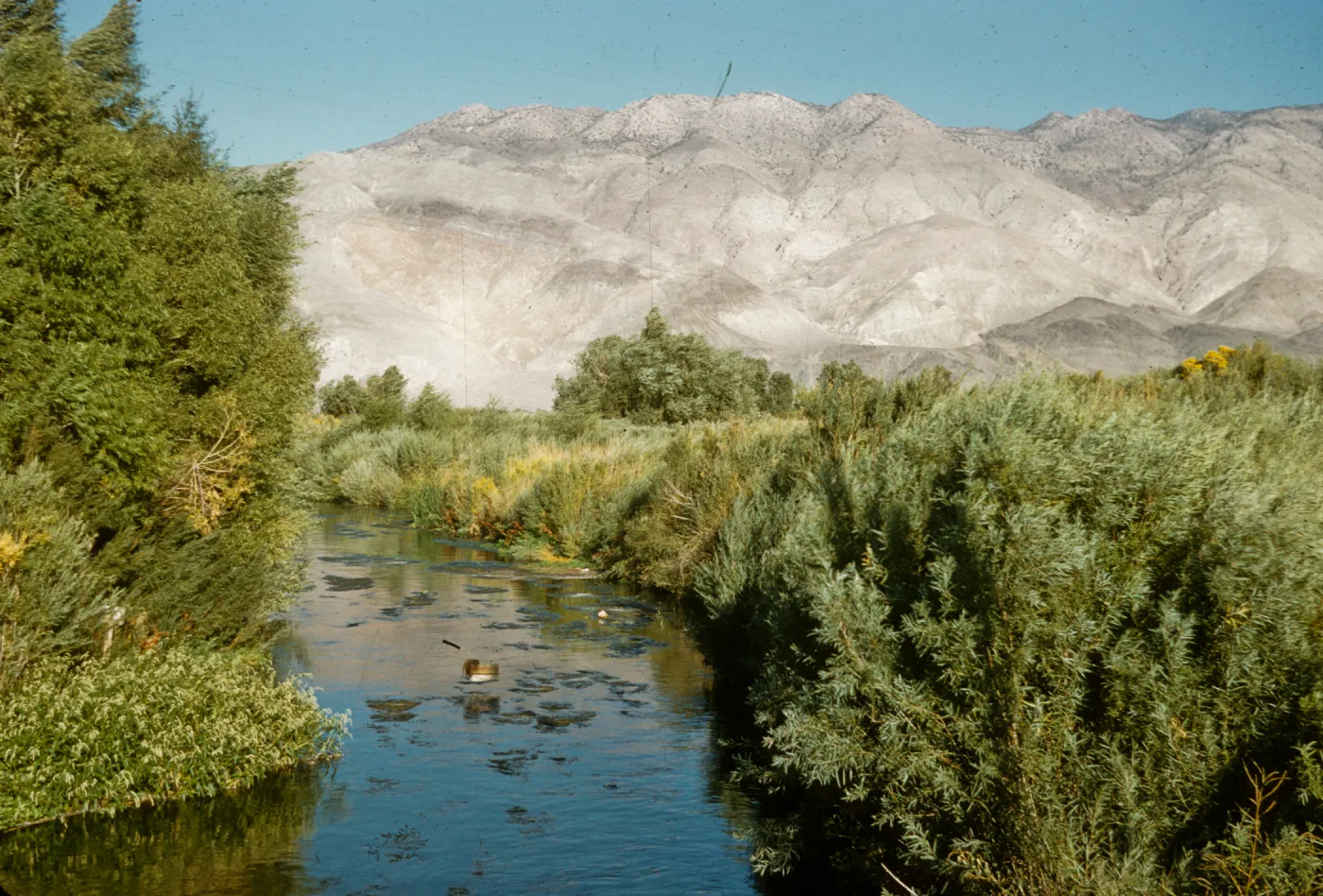Inyo Mountains, from near Big Pine