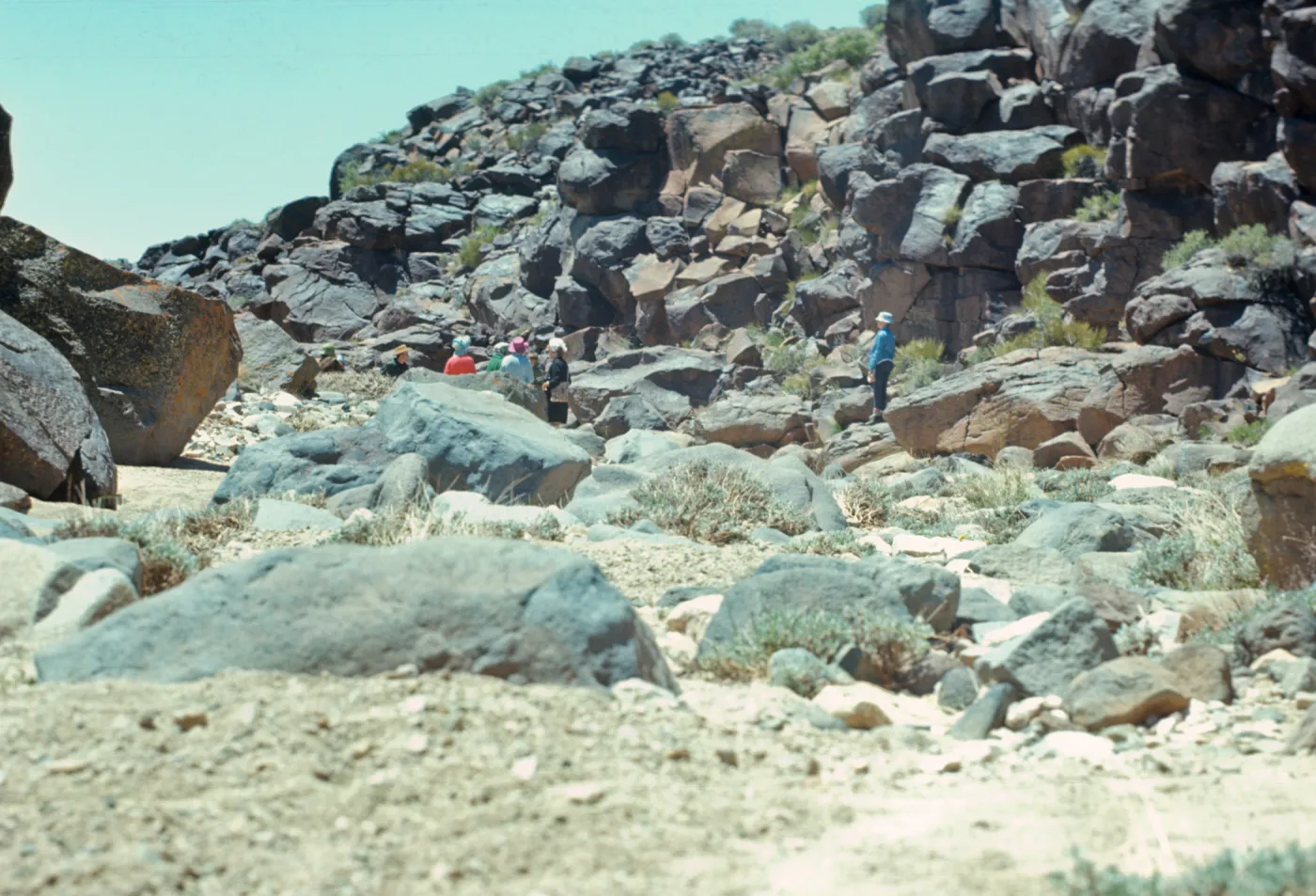 Renegade Canyon, SBBG field trip at petroglyphs, China Lake