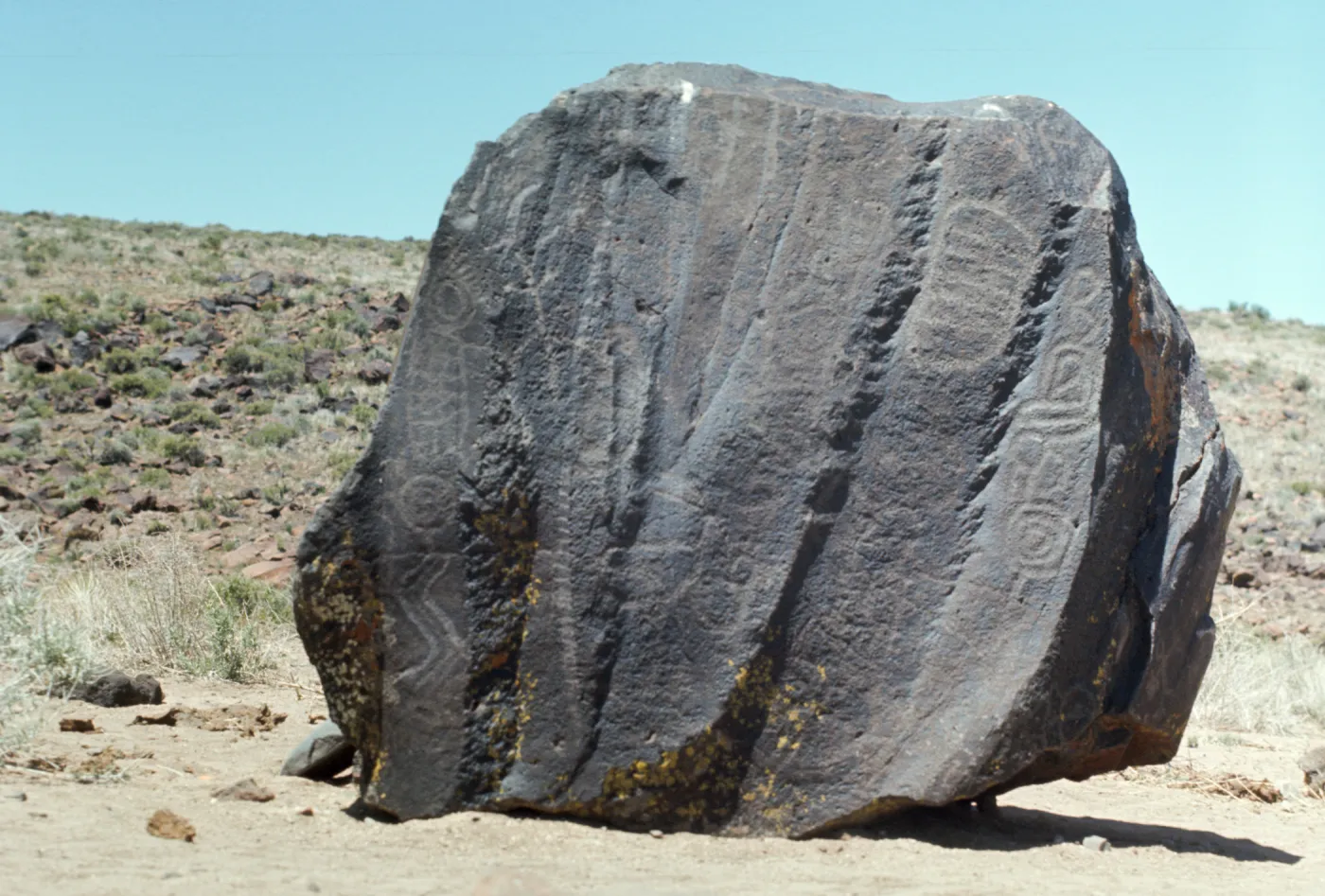 Petroglyph Boulder Landmark, Renegade Canyon, SBBG field trip at petroglyphs, China Lake