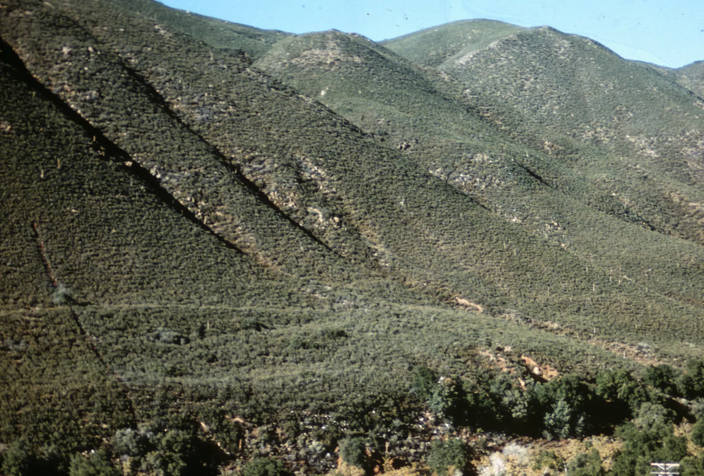 southern chaparral, Banner Grade
