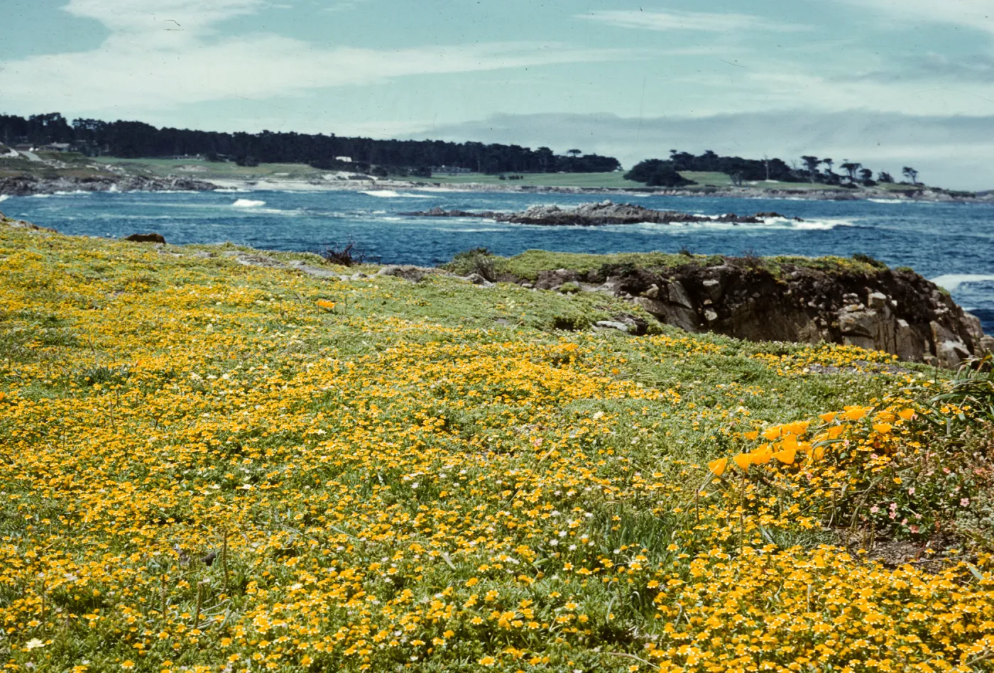 Seventeen Mile Drive