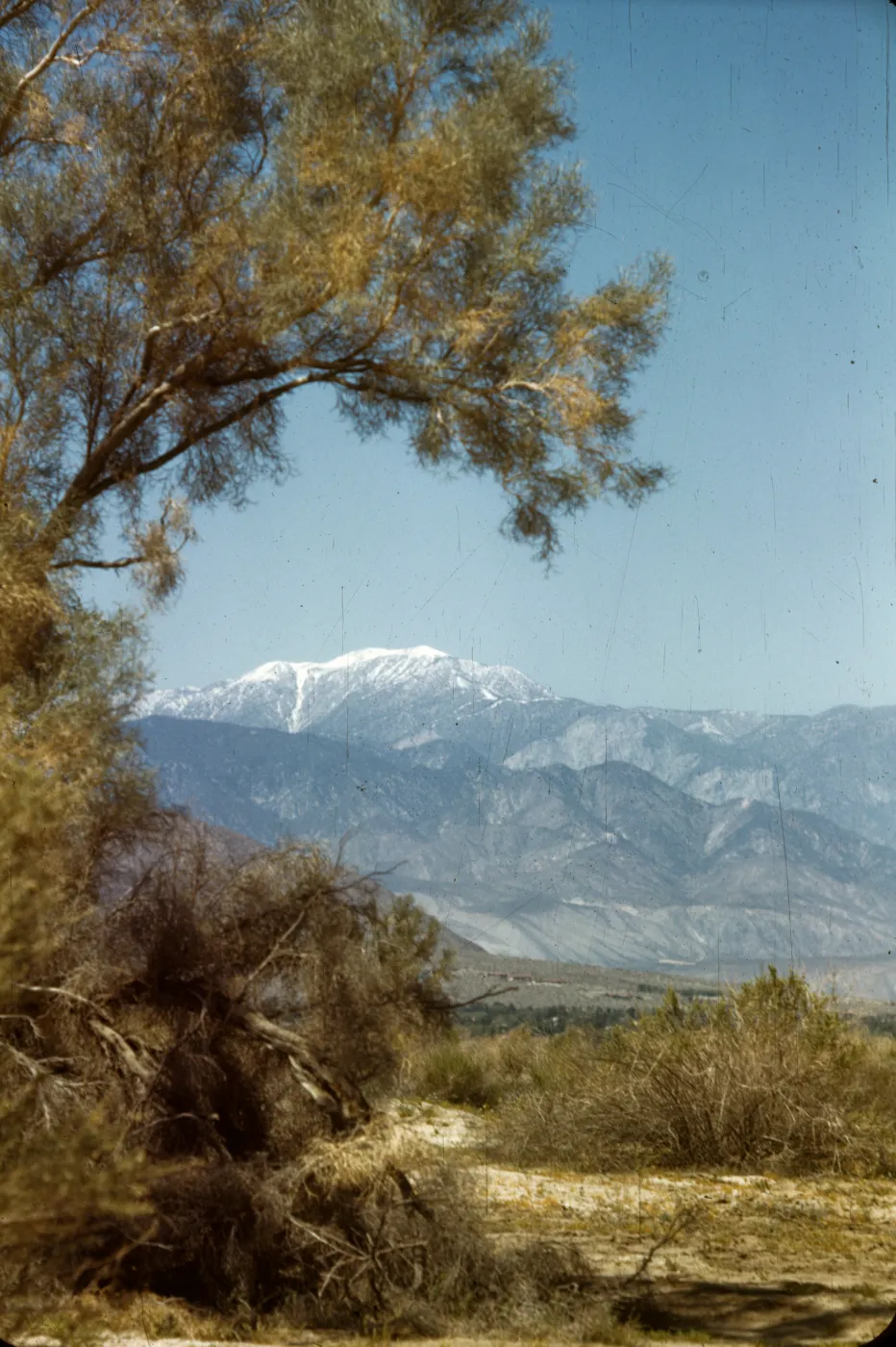 Mt. San Gorgonio
