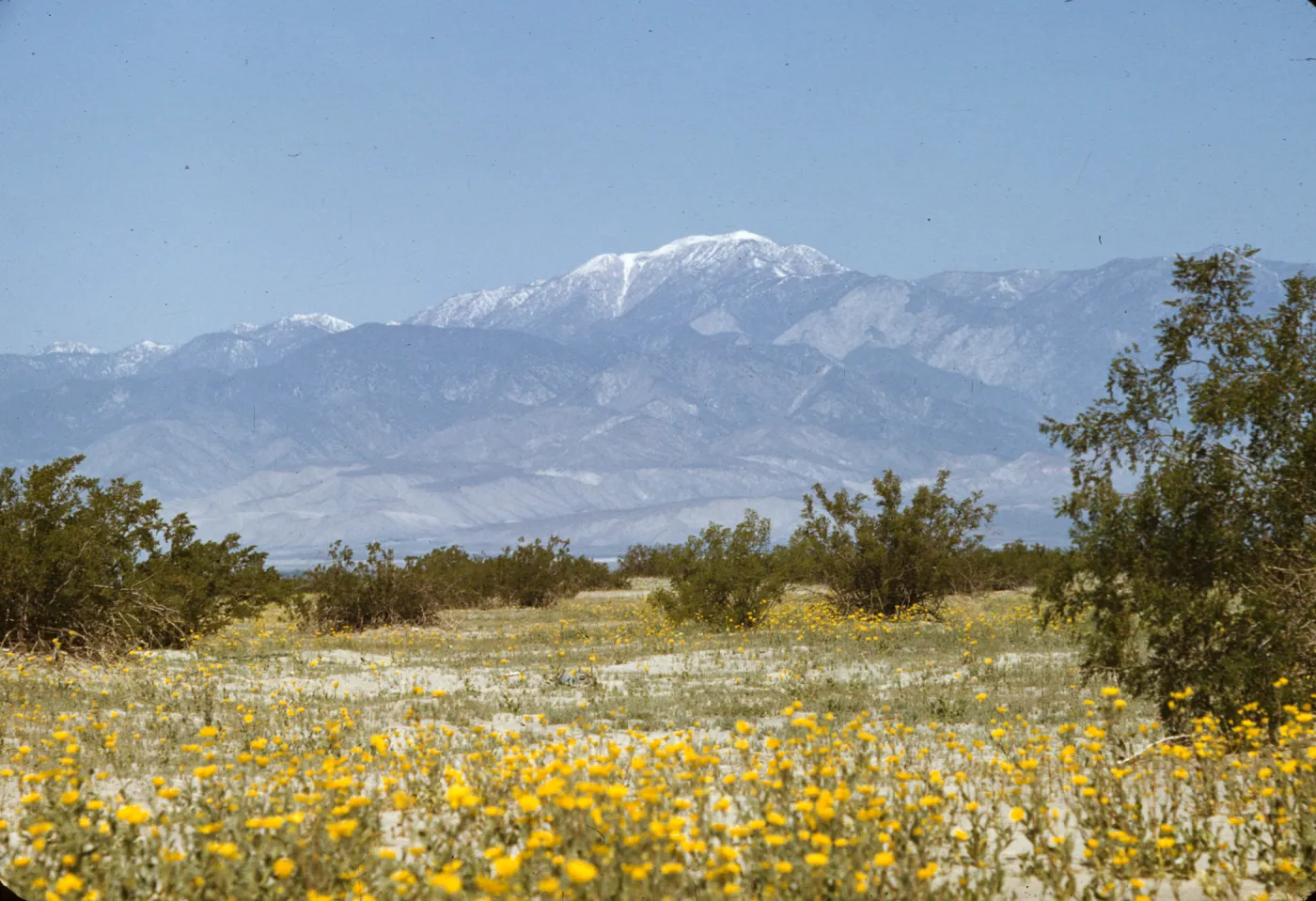 Mt. San Gorgonio