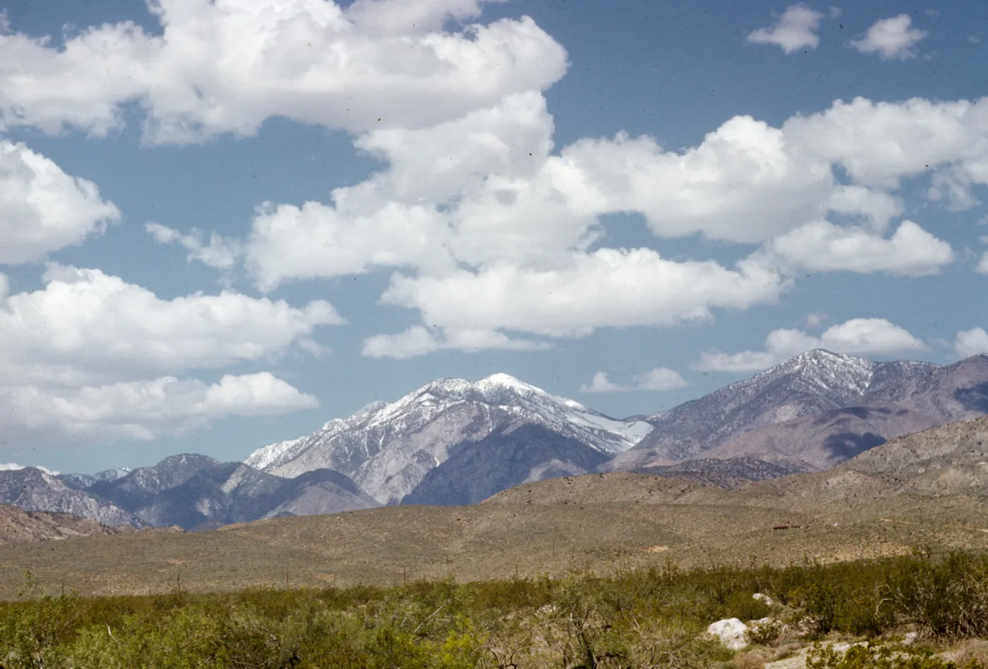 Mt. San Gorgonio from 1000 Palms Rd.