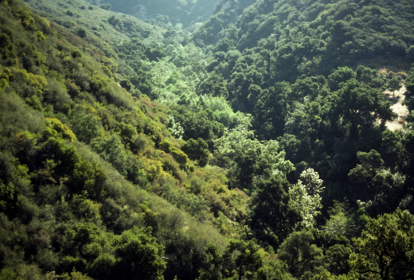Mission Canyon