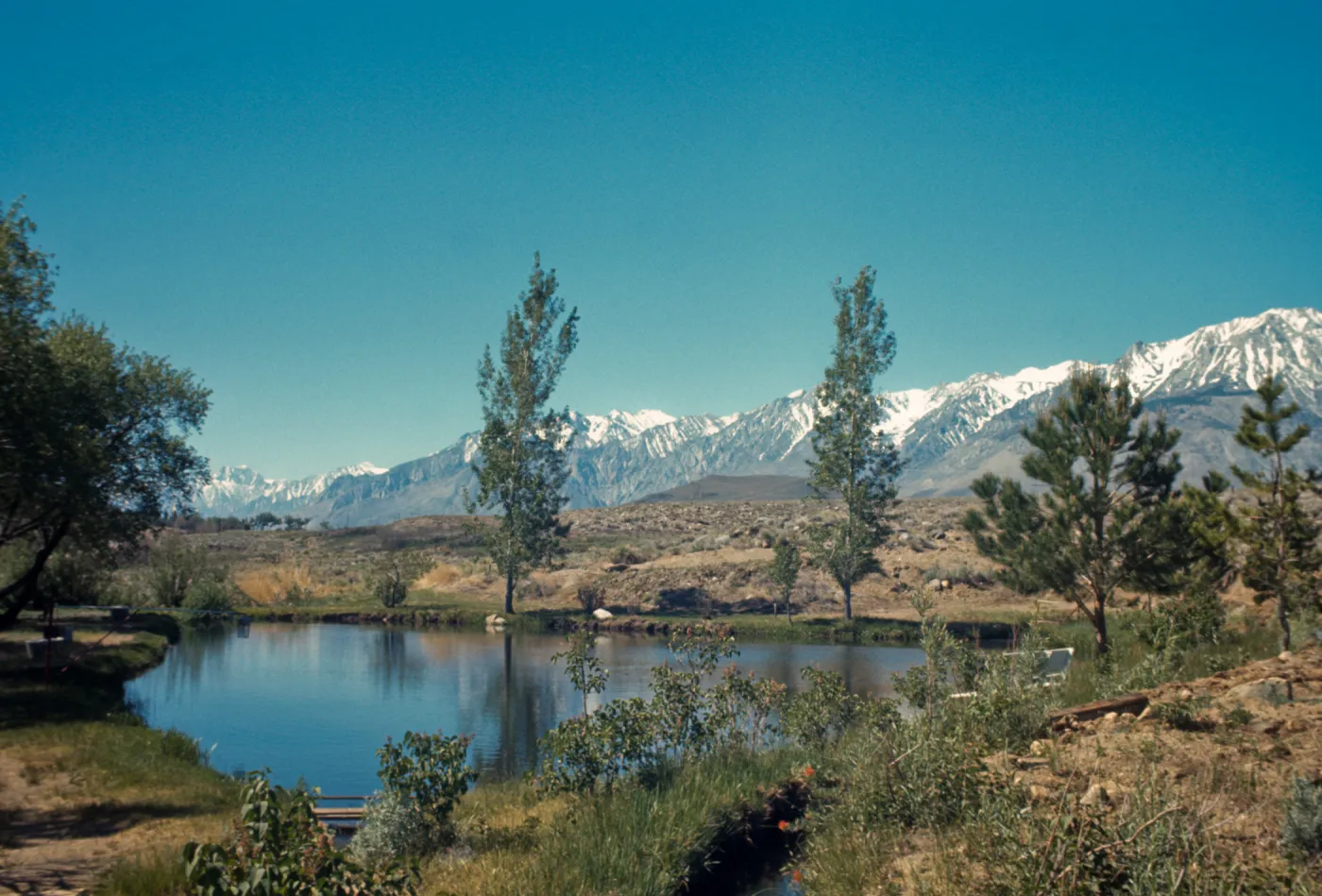 Tinemaha Ranch