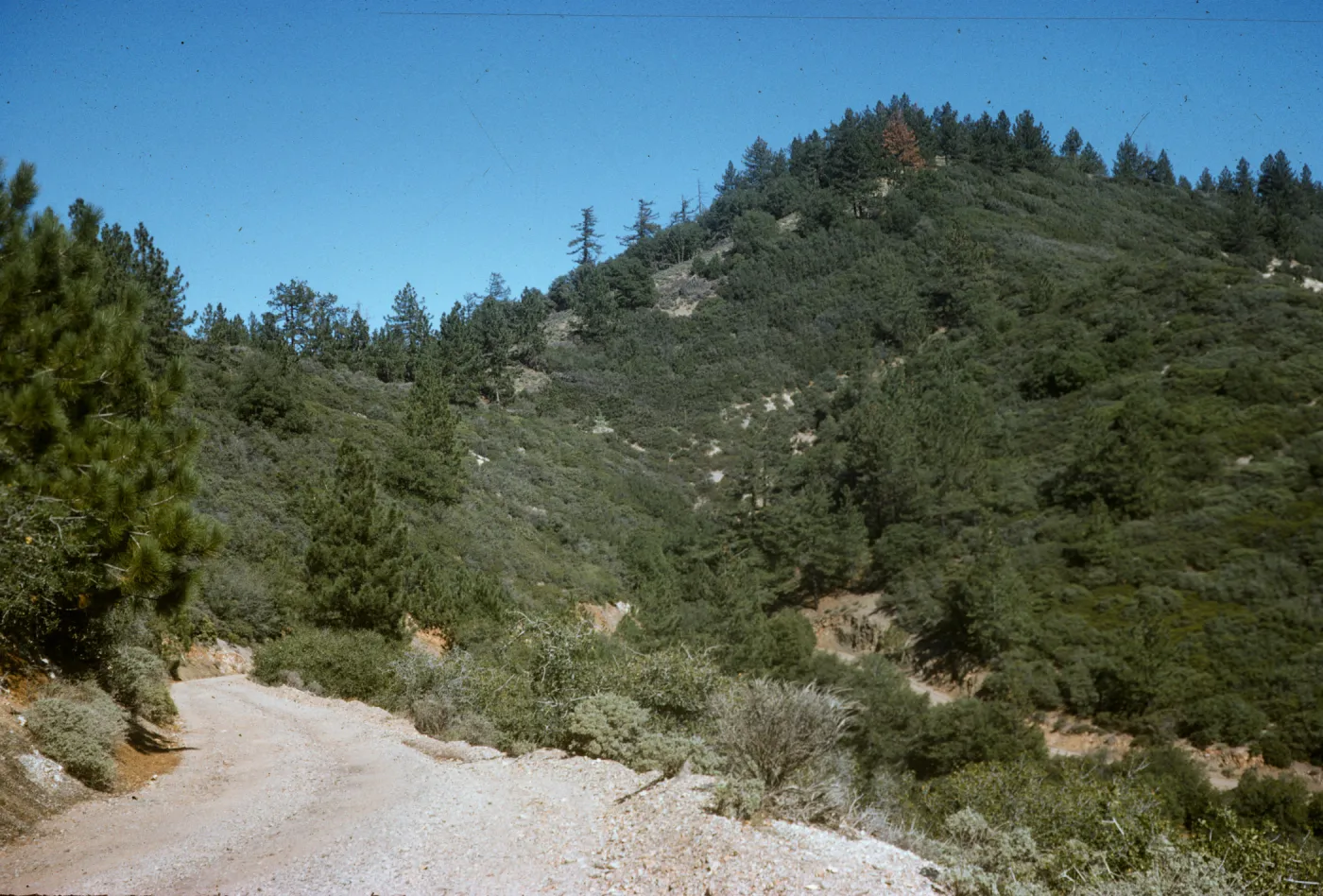 Figueroa Mountain 