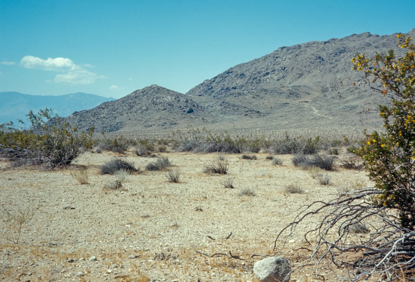 San Bernardino Mtns, Granite Mtns in background