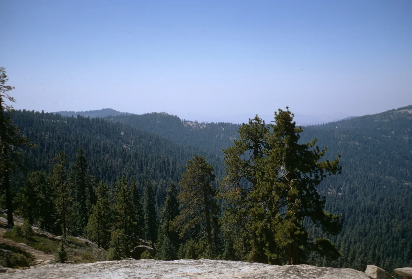 Sequoia National Park
