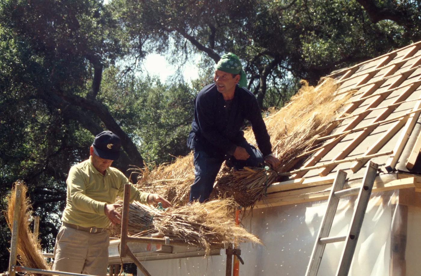 Tea House Construction 2001