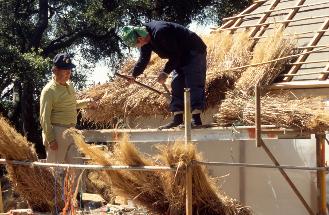 Tea House Construction 2001