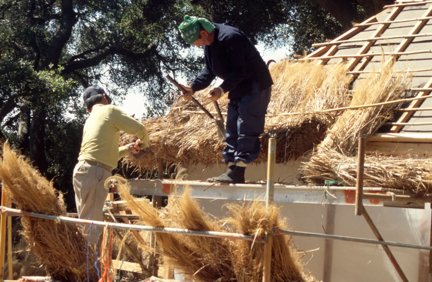 Tea House Construction 2001