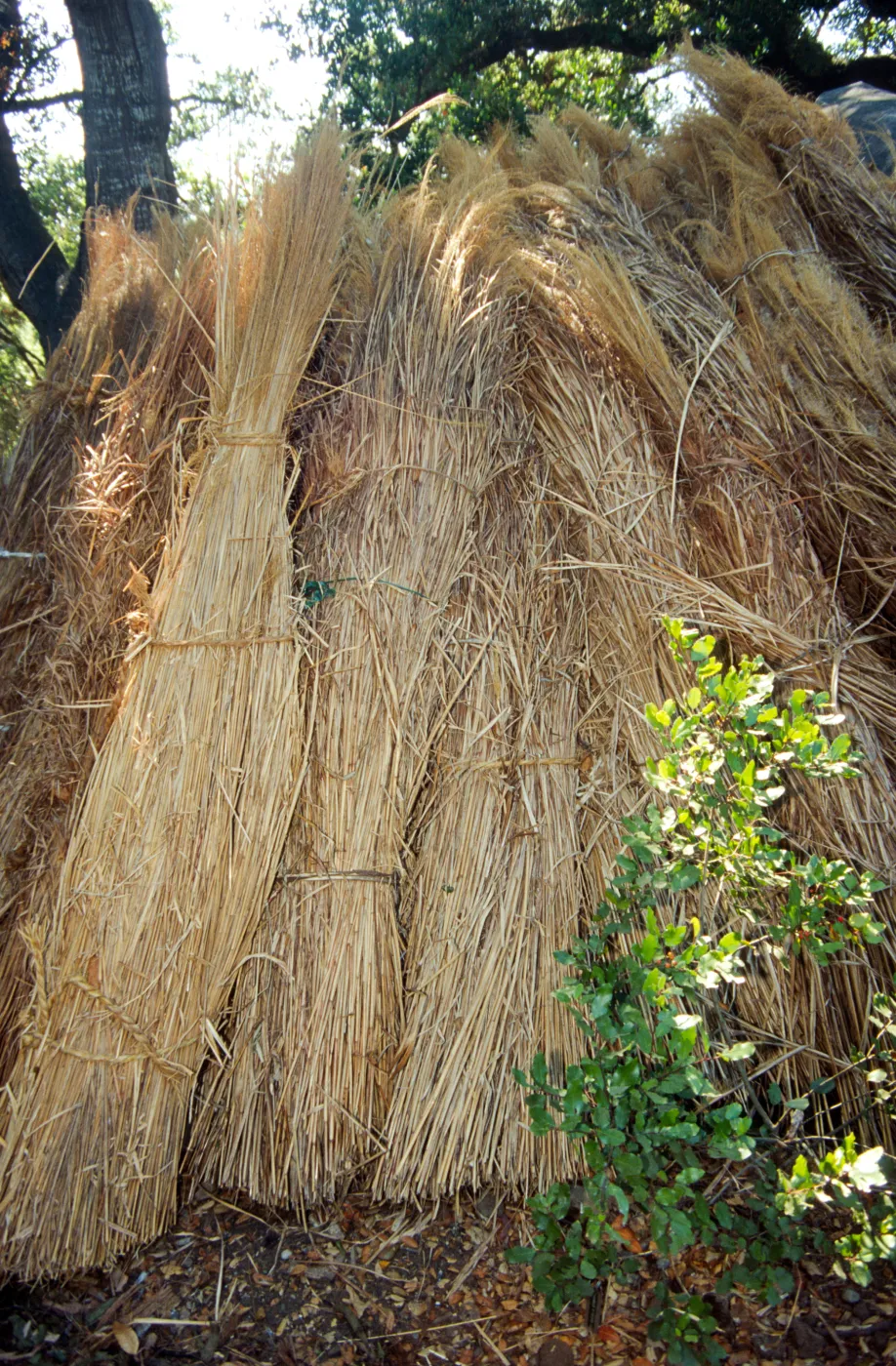 Tea House Construction 2001
