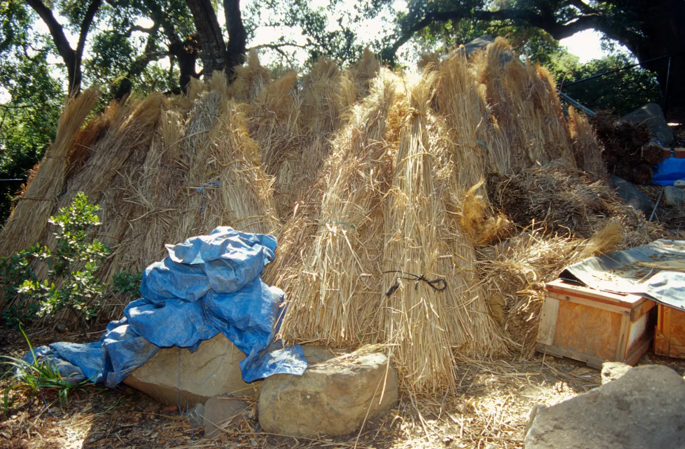 Tea House Construction 2001