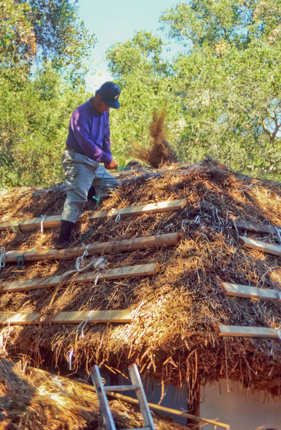 Tea House Construction 2001