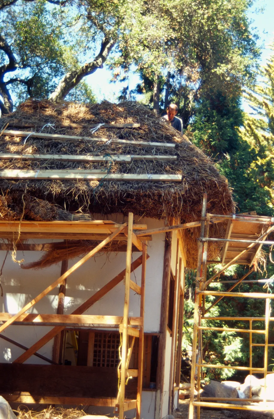 Tea House Construction 2001
