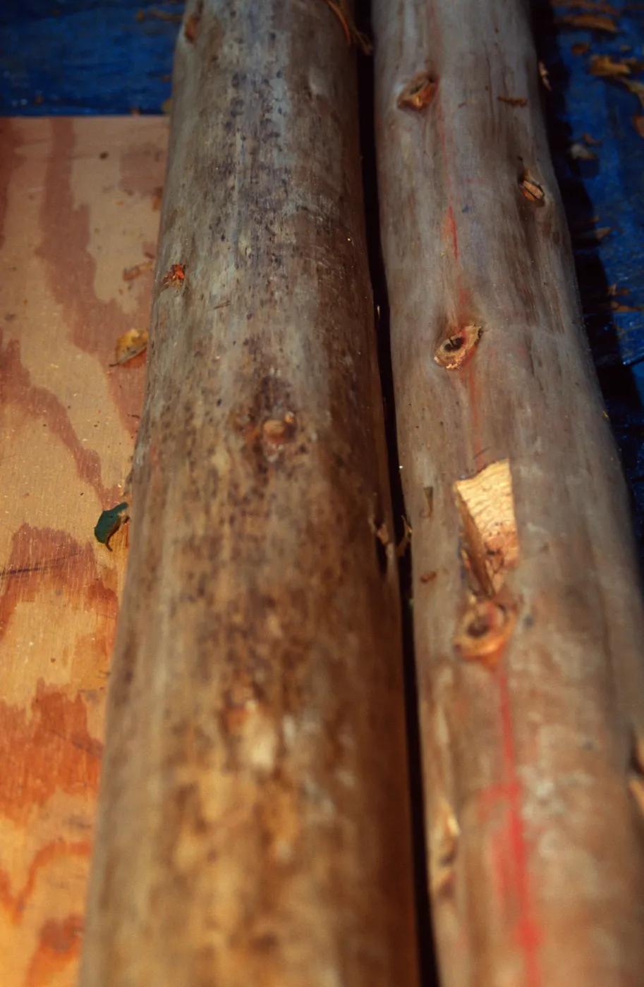 Tea House Construction 2001