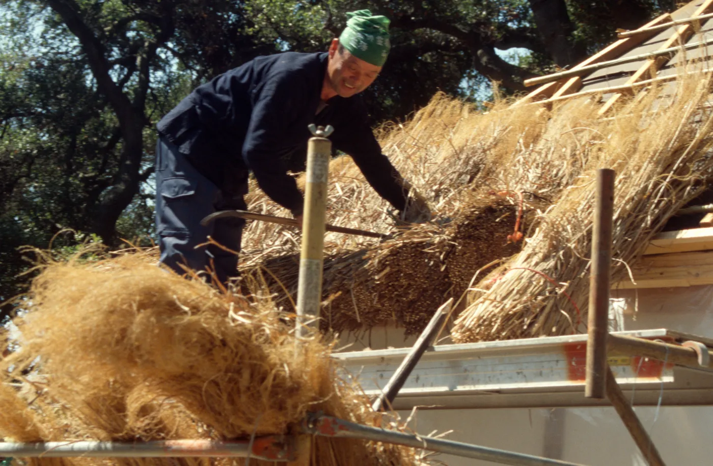 Tea House Construction 2001