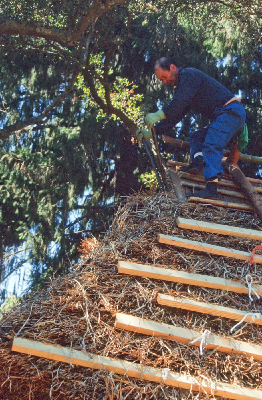 Tea House Construction 2001