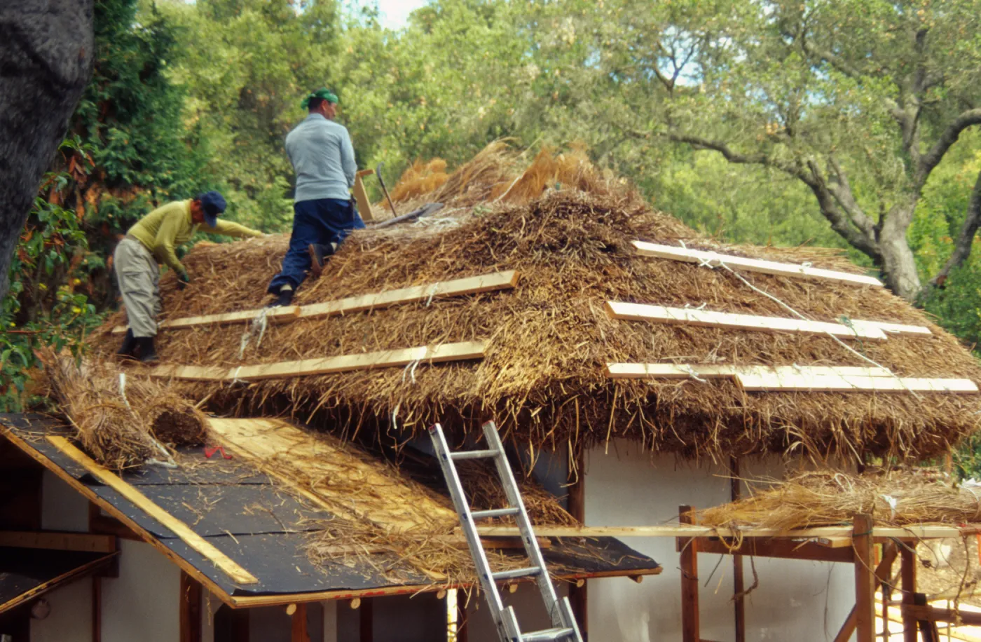 Tea House Construction 2001