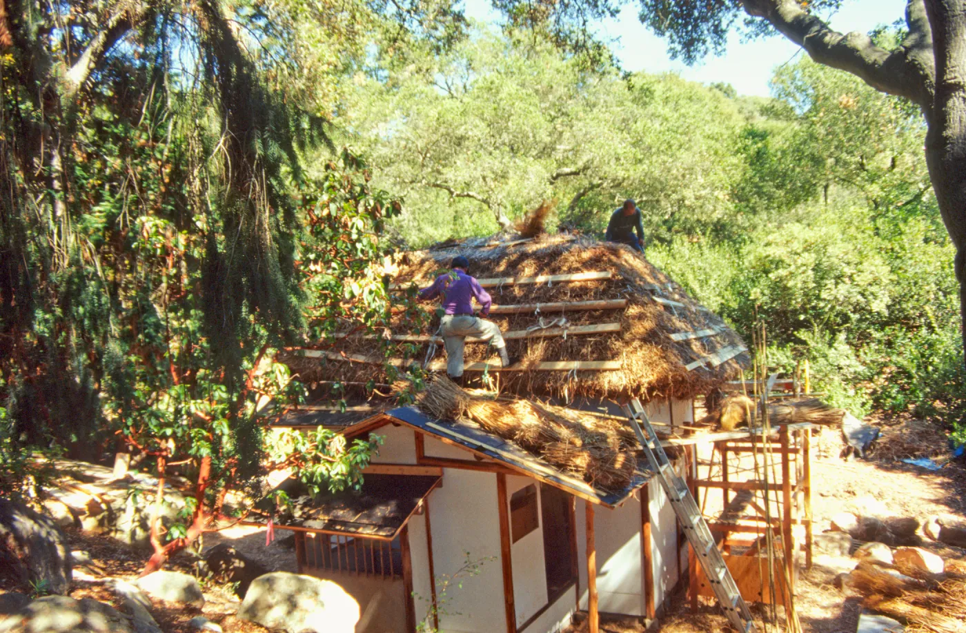 Tea House Construction 2001
