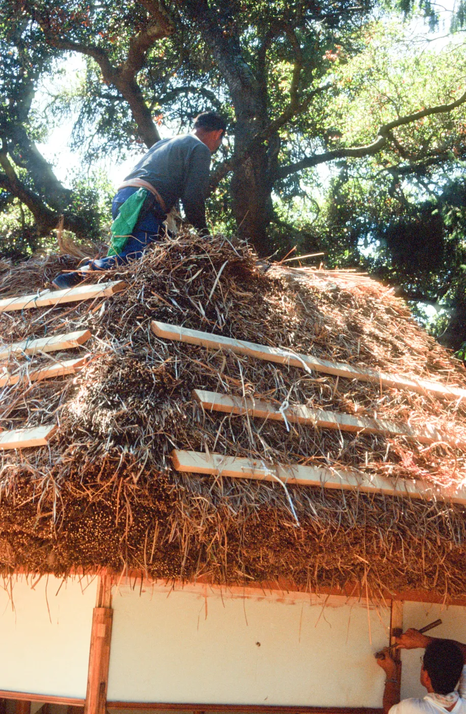 Tea House Construction 2001