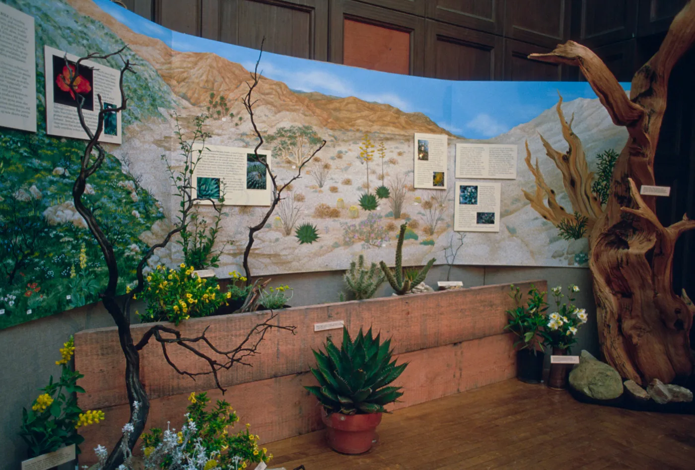'Treasures of the Flora' exhibit, 1989