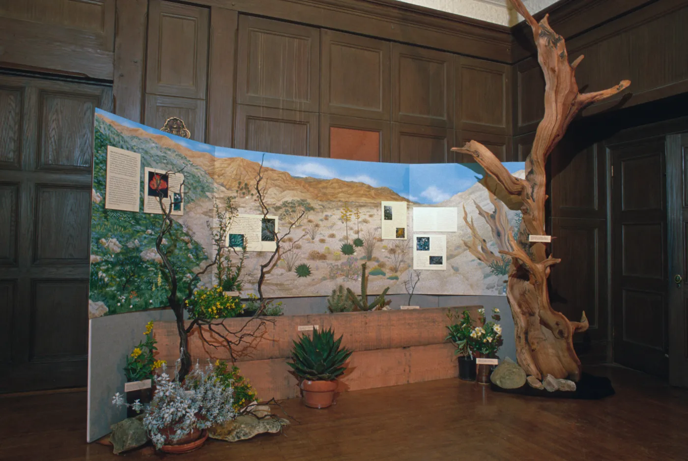 'Treasures of the Flora' exhibit, 1989