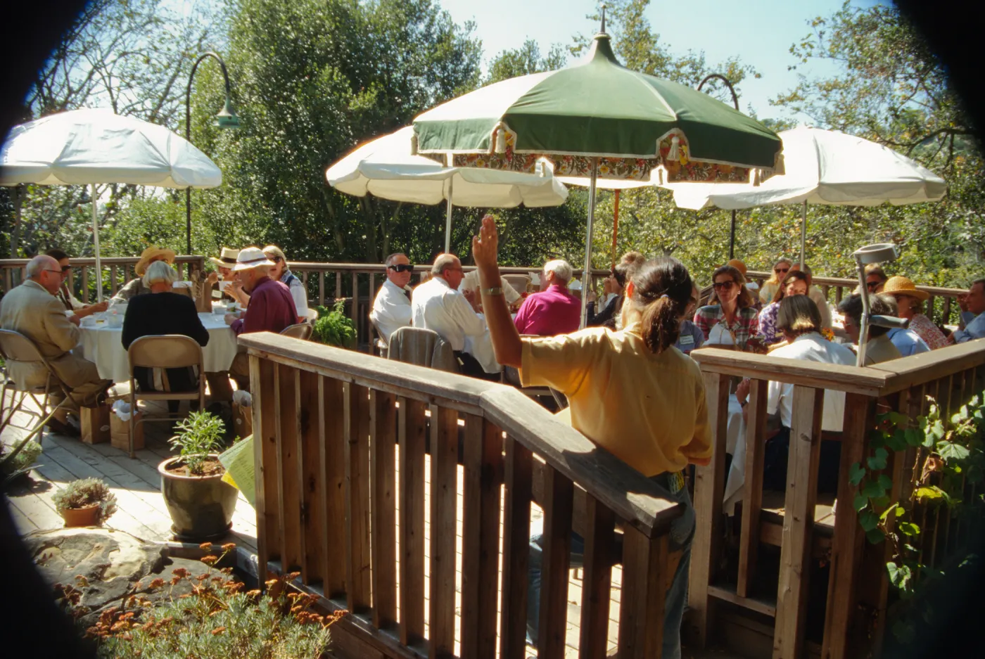 Ironwood Circle Luncheon, 1994 on the Home Demonstration Deck